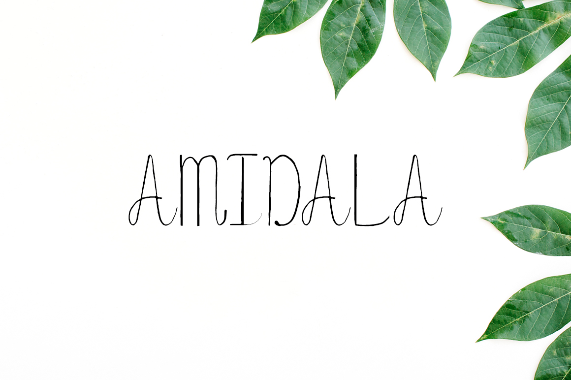 Amidala: A Designer’s Review for Real Projects