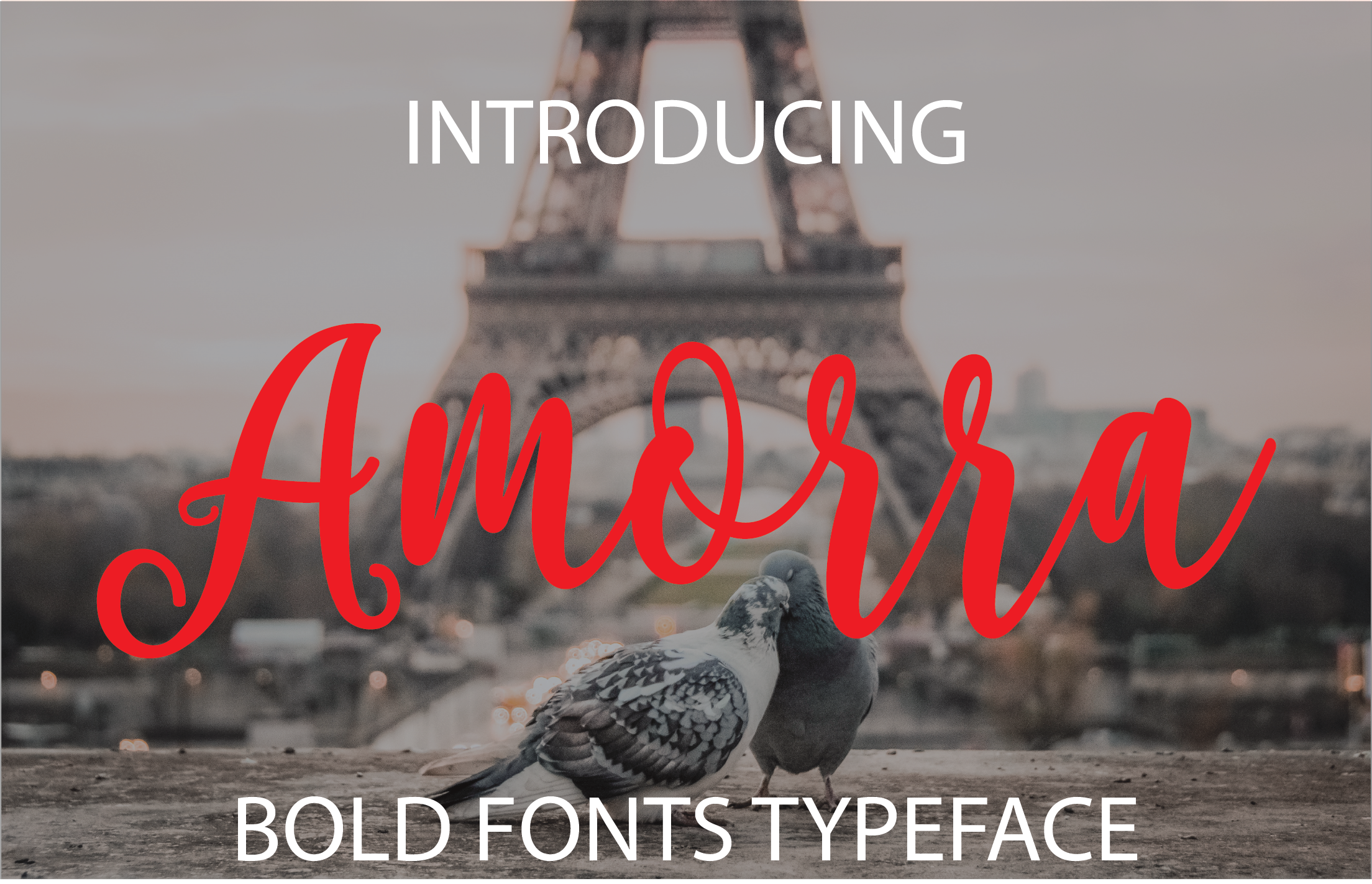 Amorra: A Designer’s Take on This Script Amp
