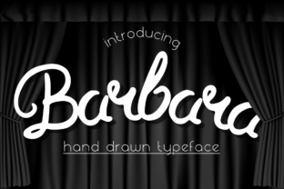 Barbara: A Handmade Brushpen Font for Creative Web Design