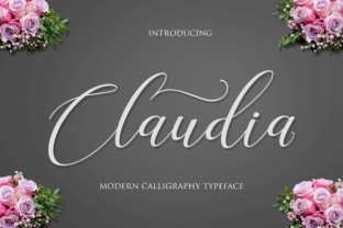 Claudia Font: Testing a Modern Script for Brand Identity