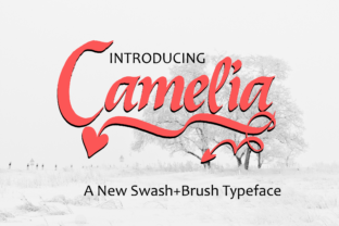 Enhance Your Brand with Camelia: A Decorative Handwritten Font