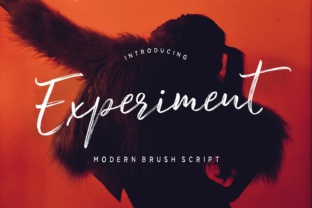 Experiment Brush Font for Editorial Design