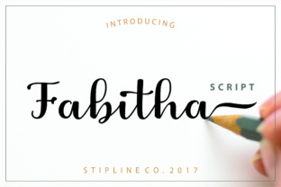 Fabitha Font Review: Elevating Campaign Visuals