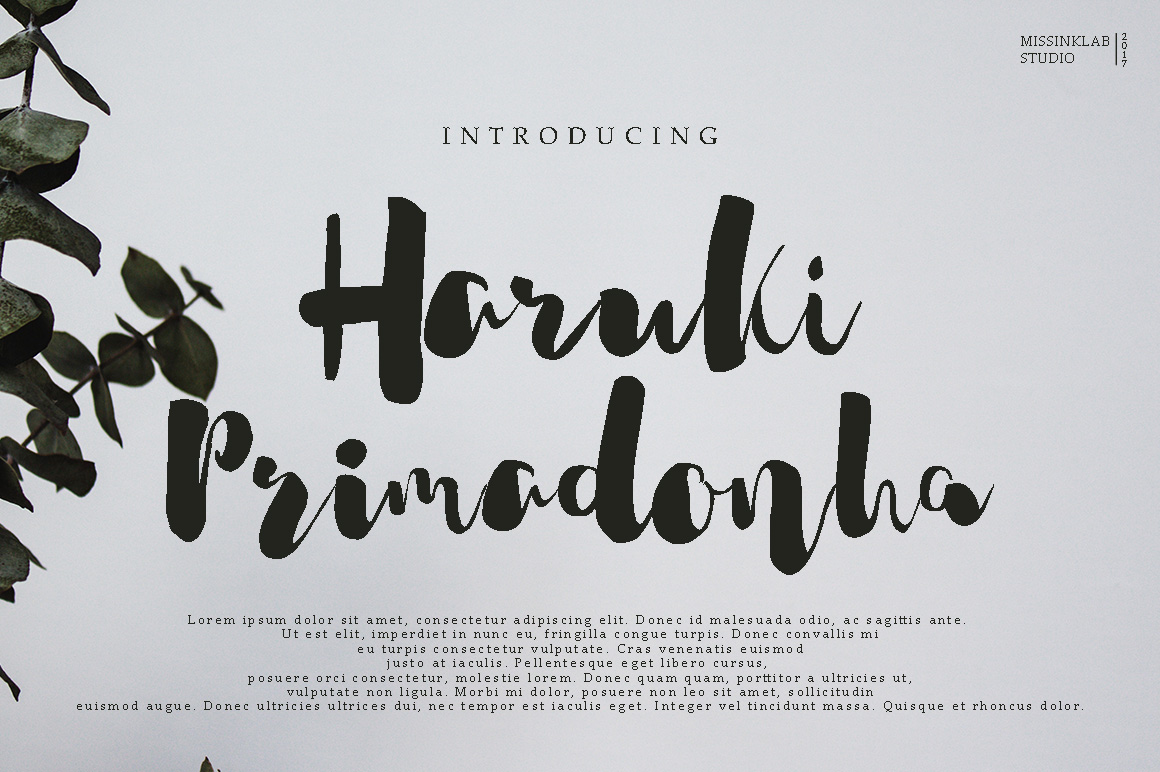 Haruki Primadonha Font: A Web Designer’s Layout Review