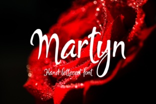 Martyn Font Review: Modern Script for Web Design