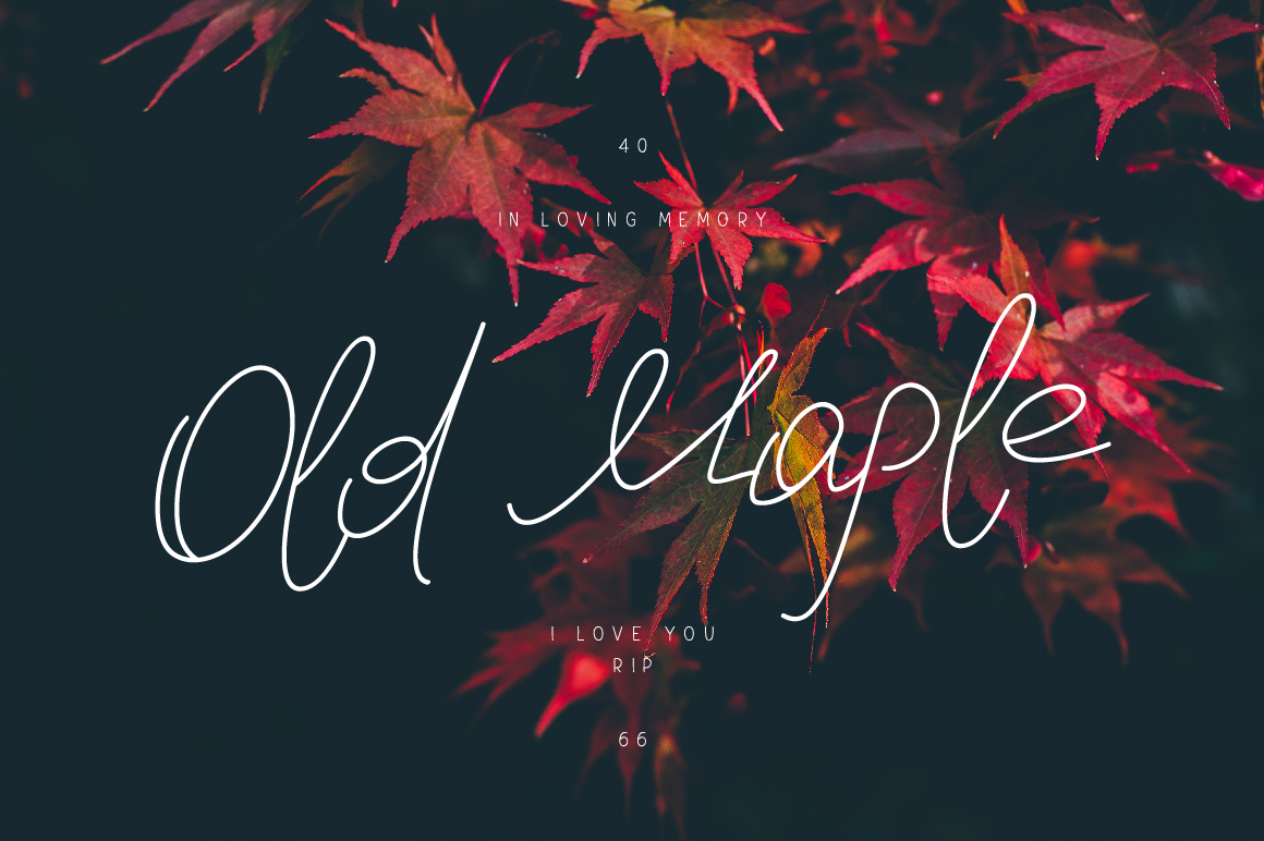 Old Maple: A Font for Editorial Elegance and Charm